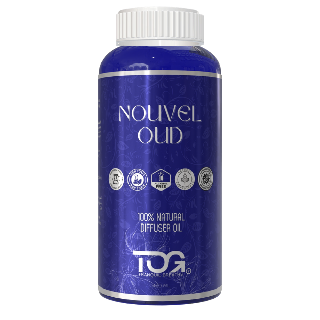 Nouvel Oud